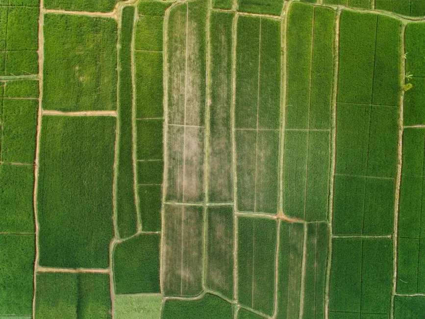 How to Plan a Crop Rotation for a Small Farm